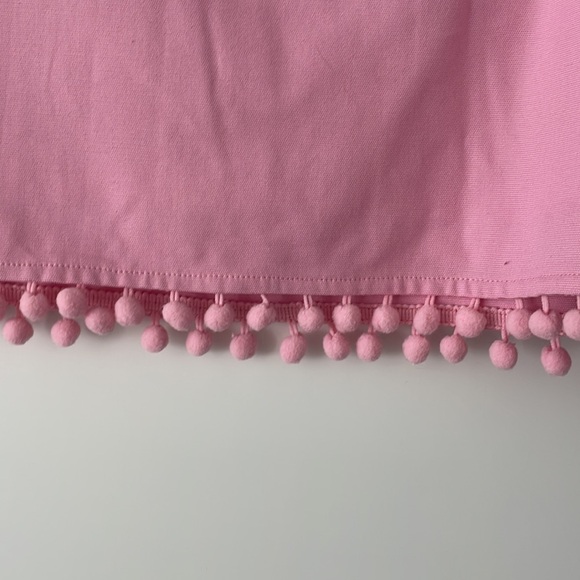 NWOT Talbots Pink Poplin Skirt-size 12 - Picture 2 of 3